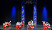Thumb_barvinok_lac_-_concert_2019-479